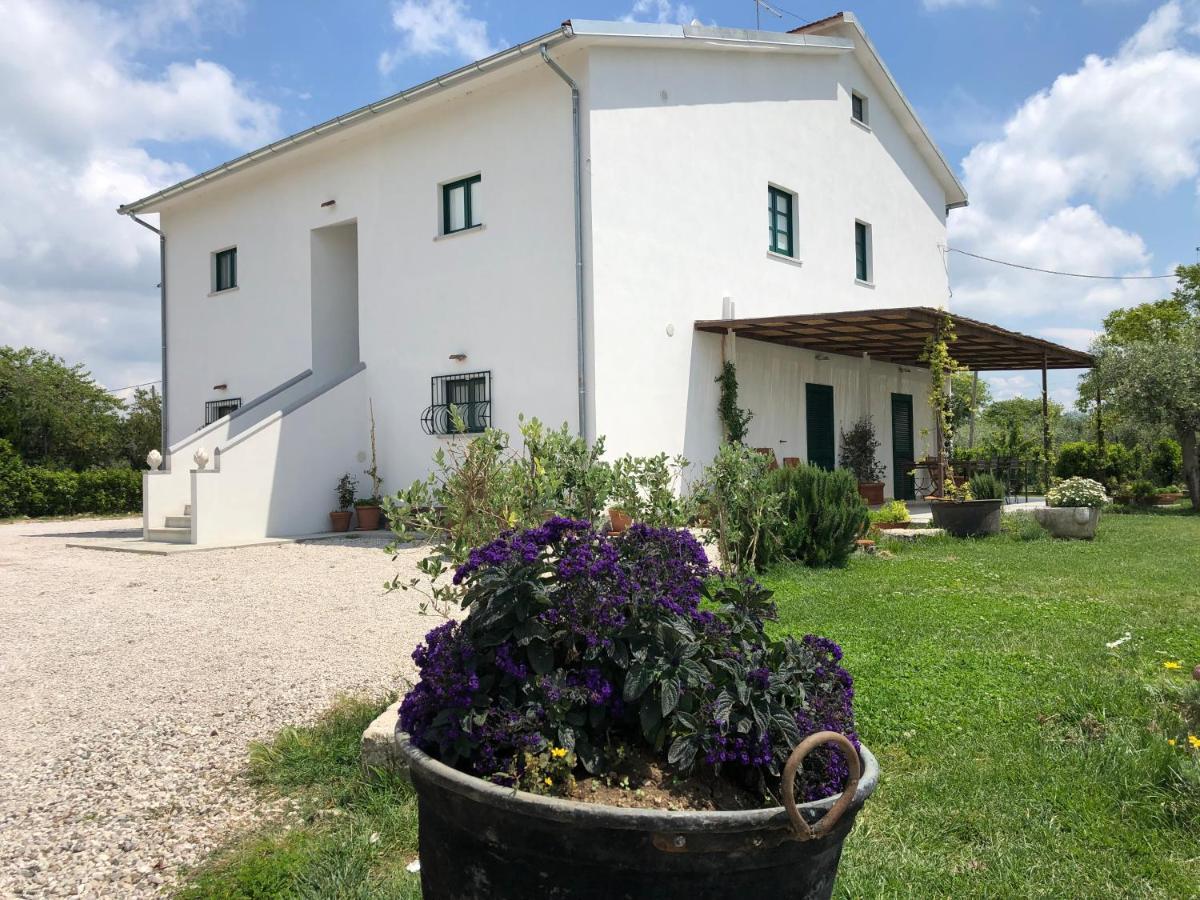 Casa Agricola Scorziello Serre (Salerno) Exterior foto